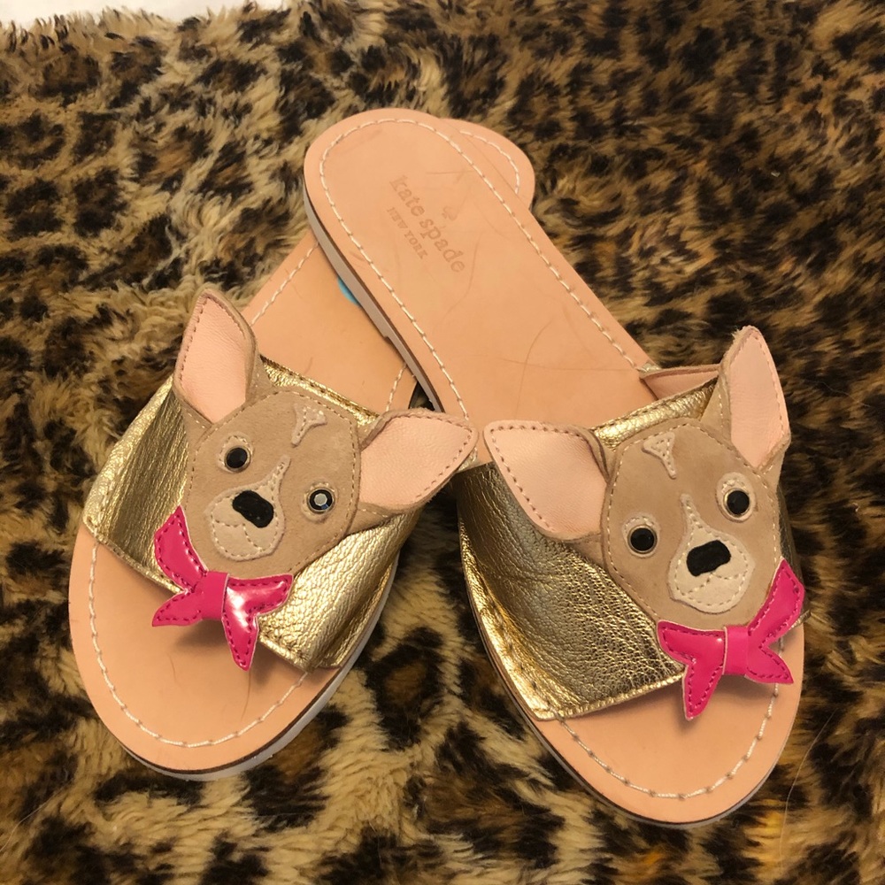 kate space chihuahua slides